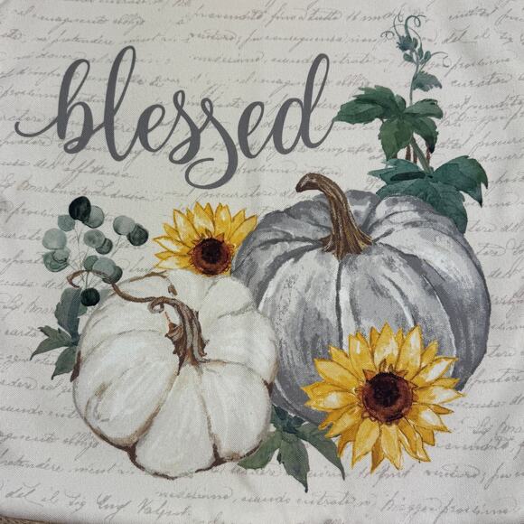 Loving Kindness Neutral Natural "Blessed" Fall Decorative Pillow Cover - Picture 2 of 5